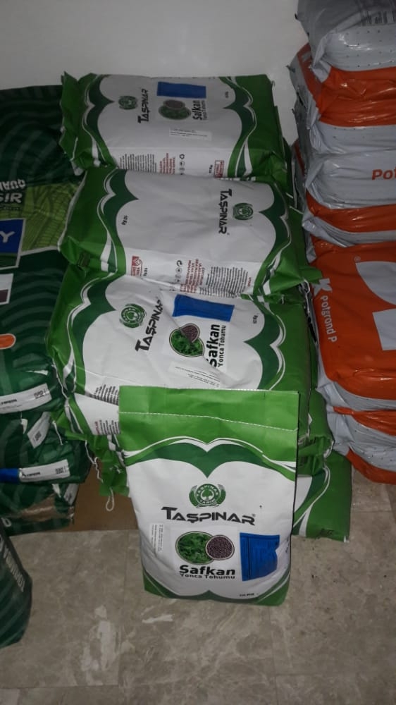 TAŞPINAR SAFKAN YONCA TOHUMU 10 KG (YERLİ)