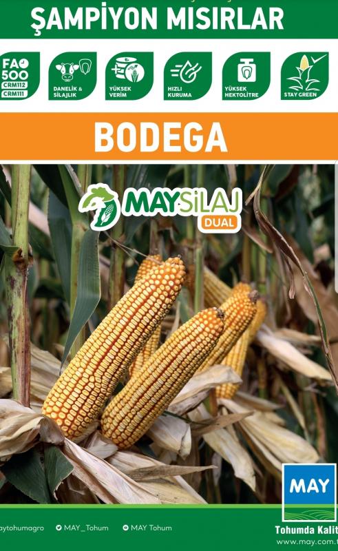 MAY BODEGA HİBRİT SILAJLIK MISIR TOHUMU