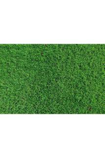 Çim Gübresi Çiçek Çoşturan 3 Kg Çim Coşturan Bitki Coşturan Bitki Geliştirici