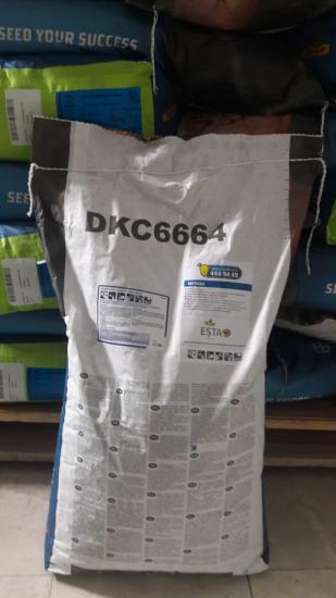 DEKALB DKC 6664 DANELİK MISIR TOHUMU 50.000 ADET