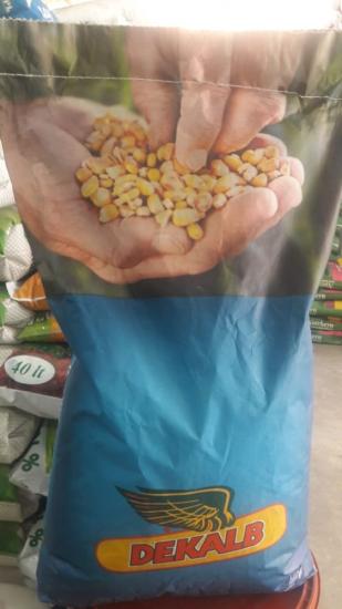 DEKALB DKC 6308 SİLAJLIK MISIR TOHUMU ÖZELLİKLERİ VE FİYATLARI