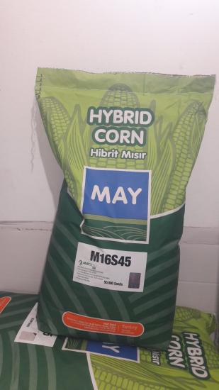 MAY CORN HİBRİT SİLAJLIK MISIR TOHUMU