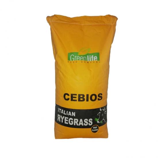 Cebios Italian Ryegrass Tohumu Fiyatı